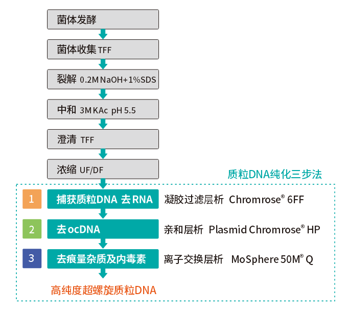 質(zhì)粒純化三步法流程圖.png